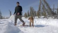 image Life Below Zero: Next Generation season 5 episode 5