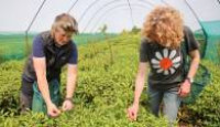 image Escape to the Farm with Kate Humble season 3 episode 6
