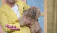 image Haute Dog season 1 episode 12