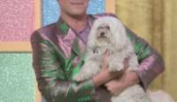 image Haute Dog season 1 episode 8
