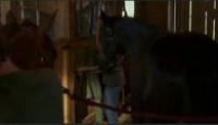 image Heartland (2007) (CA) season 1 episode 2