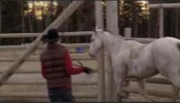image Heartland (2007) (CA) season 3 episode 18