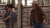 image Heartland (2007) (CA) season 4 episode 2