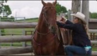 image Heartland (2007) (CA) season 8 episode 6