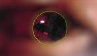 image Killer Cases season 6 episode 2