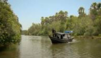 image 72 Dangerous Animals: Asia season 1 episode 1