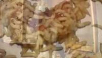 image Ripley's Believe It or Not! (2000) season 1 episode 1