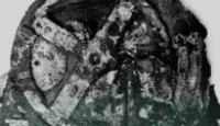 image Strangest Things season 1 episode 5