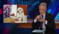 image The Daily Show season 30 episode 13