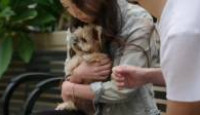 image Cesar Millan: Better Human Better Dog season 2 episode 2