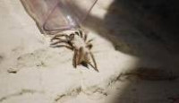 image You vs. Wild season 1 episode 6