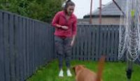 image Scotland’s Best Dog season 1 episode 3