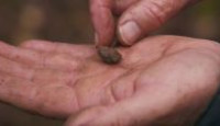 image The Curse of Oak Island season 10 episode 2