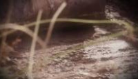 image The Curse of Oak Island season 10 episode 21