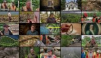 image The Curse of Oak Island season 11 episode 4