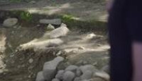 image The Curse of Oak Island season 12 episode 2