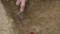 image The Curse of Oak Island season 12 episode 25