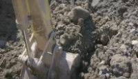 image The Curse of Oak Island season 12 episode 7