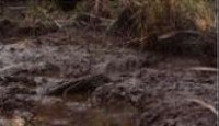 image The Curse of Oak Island season 7 episode 16