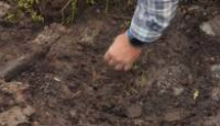 image The Curse of Oak Island season 8 episode 20