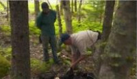 image The Curse of Oak Island season 8 episode 3