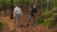 image The Curse of Oak Island season 9 episode 19