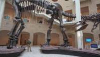 image Dinosaurs of the Frozen Continent season 1 episode 2
