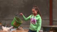 image A Farmer's Life season 2 episode 1