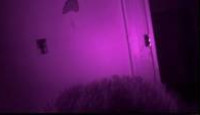 image Ghost Adventures: House Calls season 3 episode 2