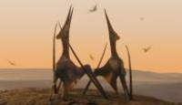 image Prehistoric Planet (2022) season 1 episode 2