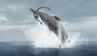 image Prehistoric Planet (2022) season 2 episode 4