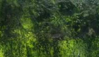 image Britain's Beautiful Rivers season 1 episode 2