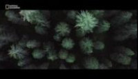 image Vikings: The Rise and Fall season 1 episode 5