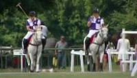 image The Queen's Horses: Inside the Royal Stables season 1 episode 2