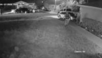 image Real Time Crime season 2 episode 6