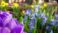 image Power Of Plants season 1 episode 1