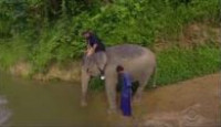 image The Amazing Race season 31 episode 2