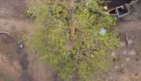 image Africa from Above season 1 episode 3