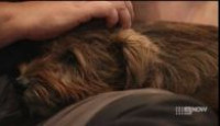 image Take Me Home season 2 episode 4