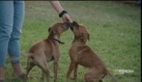 image Take Me Home season 2 episode 6