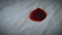 image Houses of Horror: Secrets of College Greek Life season 1 episode 3