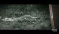 image Lady of the Dunes: Hunting a Cape Cod Killer season 1 episode 2