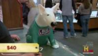 image Pawn Stars season 5 episode 10