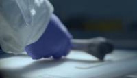 image Unidentified Bodies season 1 episode 3