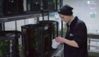 image Wild Heroes season 1 episode 6