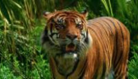 image Wild Heroes season 2 episode 5