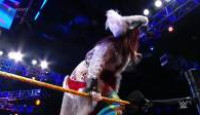 image WWE NXT season 12 episode 33