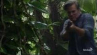 image Hawaii Five-0 season 10 episode 8