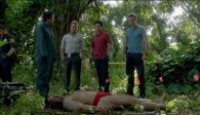 image Hawaii Five-0 season 2 episode 17