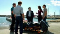 image Hawaii Five-0 season 2 episode 8
